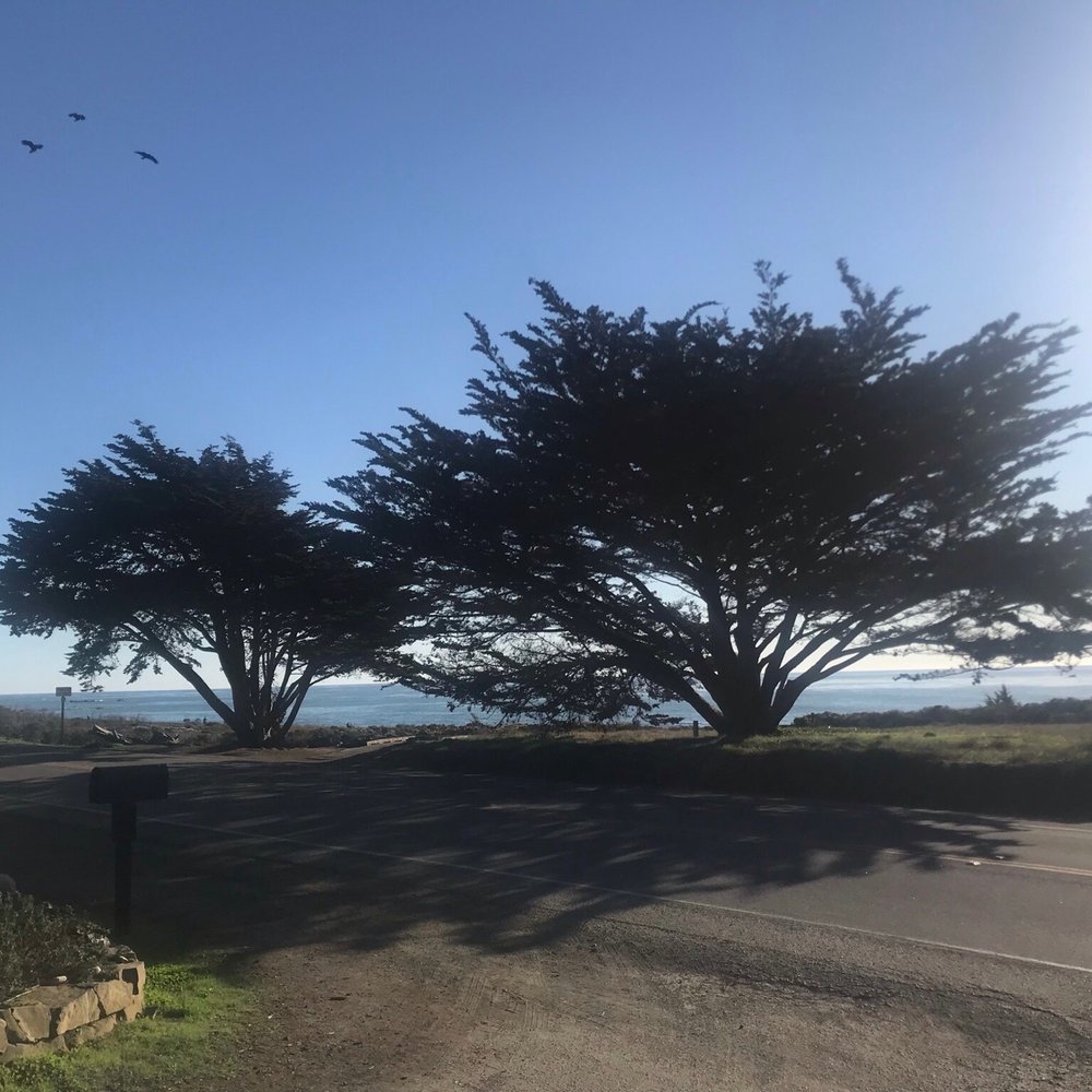 White Water - Views - Hotels Near Me - Cambria, California White Water - Views - Hotels Near Me - Cambria, California