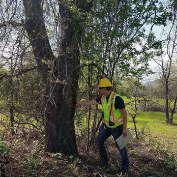 American Tree Medics - Our arborists and foresters provide professional health and safety audits of trees. - Tree Services Near Me - Merced, California American Tree Medics - Our arborists and foresters provide professional health and safety audits of trees. - Tree Services Near Me - Merced, California