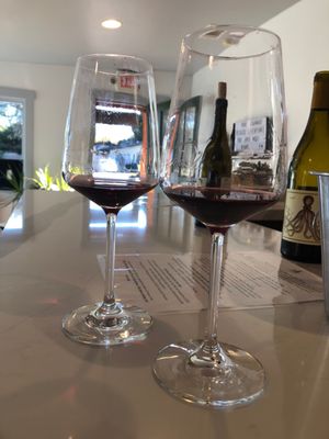 Holus Bolus & The Joy Fantastic by null