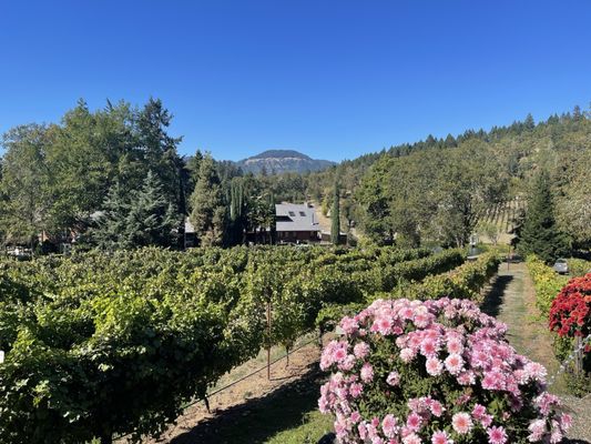 Reustle-Prayer Rock Vineyards by null