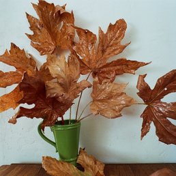Another photo of my leaf sculpture, which used clear spray paint, epoxy glue, and clay vase, all from PAGANO'S.