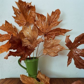 Pagano's Hardware Towne Centre - Another photo of my leaf sculpture, which used clear spray paint, epoxy glue, and clay vase, all from PAGANO'S. - Hardware Stores Near Me - Alameda, California