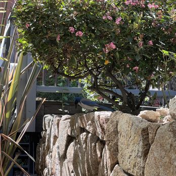From Scratch Restaurant - Breakfast & Brunch Near Me - Carmel, California