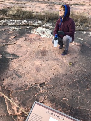 Jeffers Petroglyphs by null