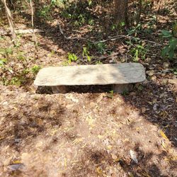 Bluethenthal Wildflower Preserve