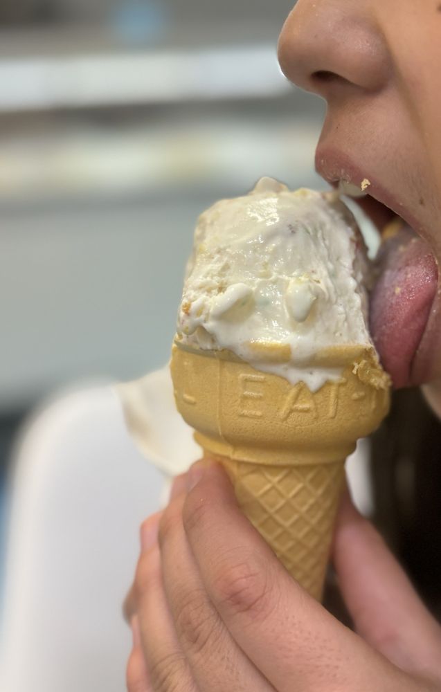 Kiwi International Delights Image