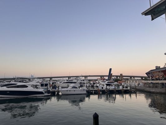 Sanguich Bayside by null