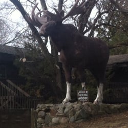Ahlman Guns - Giant moose