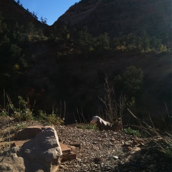 Canyon Overlook Trail - Butt of a big horn sheep (he was too fast for me) - Hiking Near Me - Springdale, Utah Canyon Overlook Trail - Butt of a big horn sheep (he was too fast for me) - Hiking Near Me - Springdale, Utah