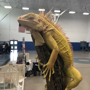 Exotic Animal Parties - Party & Event Planning Near Me - Davie, Florida Exotic Animal Parties - Party & Event Planning Near Me - Davie, Florida