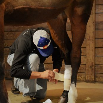 VetweRx Equine North - Veterinarians Near Me - Longmont, Colorado VetweRx Equine North - Veterinarians Near Me - Longmont, Colorado