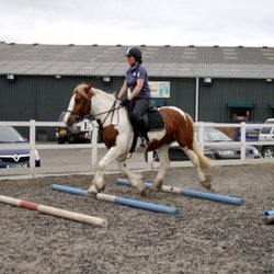 Busby Equitation Centre