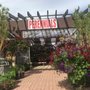 Photo of Branched Out Nursery