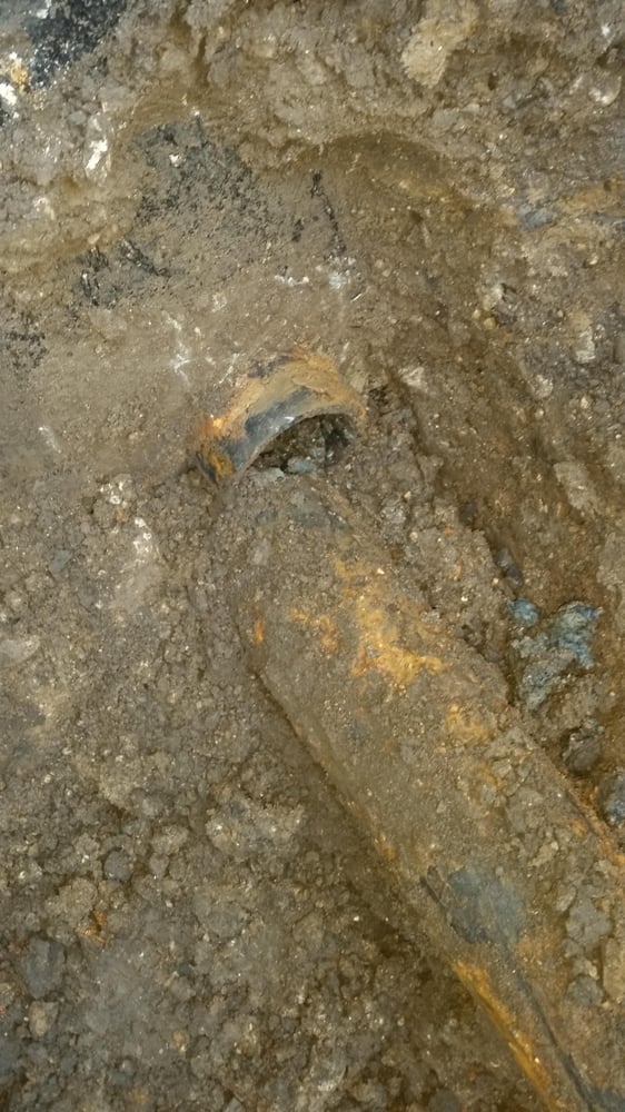 Slide of Family Sewer