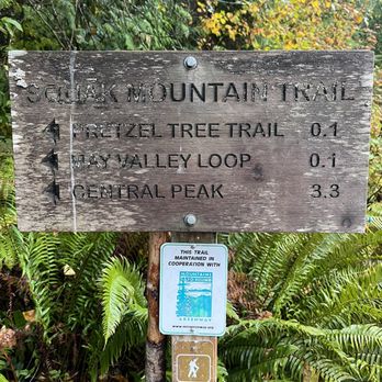 Squak Mountain State Park - Today's adventure - Hiking Near Me - Issaquah, Washington