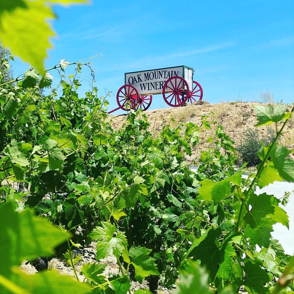 Oak Mountain Winery - Sign and grapes - Wineries Near Me - Temecula, California Oak Mountain Winery - Sign and grapes - Wineries Near Me - Temecula, California