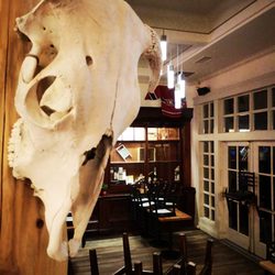 Laughing Loon Restaurant & Gifts - Bones booooones