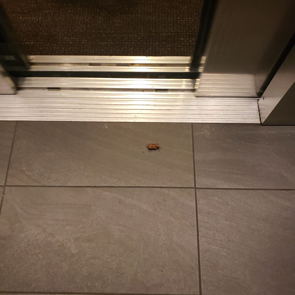 The Benjamin Seaport Residences Apartments - Right in front of the elevator door - Apartments Near Me - Boston, Massachusetts