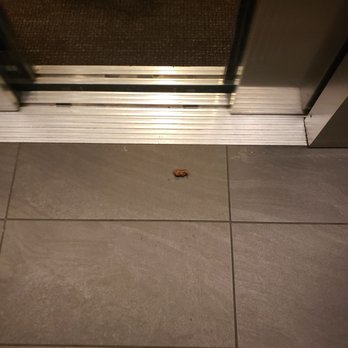The Benjamin Seaport Residences Apartments - Right in front of the elevator door - Apartments Near Me - Boston, Massachusetts