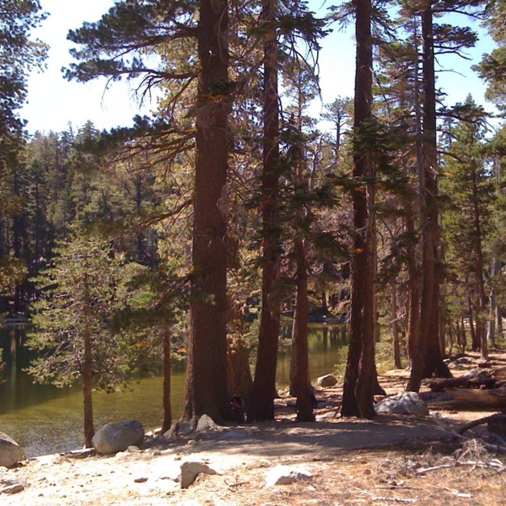 William Kent Campground - Genevieve Lake at the end of 3.5mi hike, at 1100+ft vertical, on narrow rocky trails via meadows, streams...! - Campgrounds Near Me - Tahoe City, California