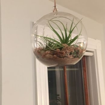 Ricky's Flower Market - Make your own terrariums with sand, rocks, air plants, etc! - Florists Near Me - Somerville, Massachusetts