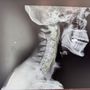 Photo of Van Dyck Family Chiropractic