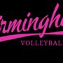 Photo of Birmingham Volleyball Club