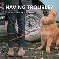 Bark Busters Home Dog Training Des Moines