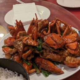 Lobster Lobster