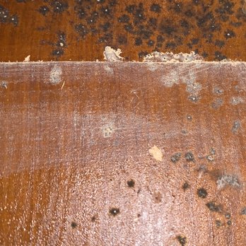 Long Island Home Inspections - Black mold- Bathroom - Home Inspectors Near Me Long Island Home Inspections - Black mold- Bathroom - Home Inspectors Near Me