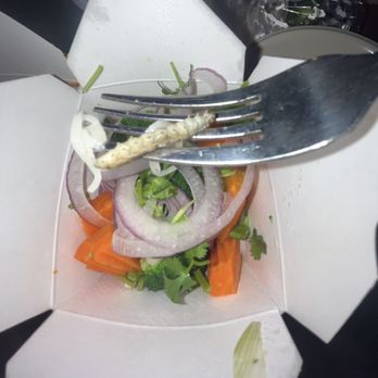 Ei8ht Noodles - Large Grub/worm found in veggie pho - Asian Fusion Near Me - Vancouver, Washington Ei8ht Noodles - Large Grub/worm found in veggie pho - Asian Fusion Near Me - Vancouver, Washington
