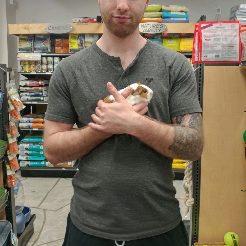 Pets To Go - Pet Stores Near Me - Elk Grove, California Pets To Go - Pet Stores Near Me - Elk Grove, California