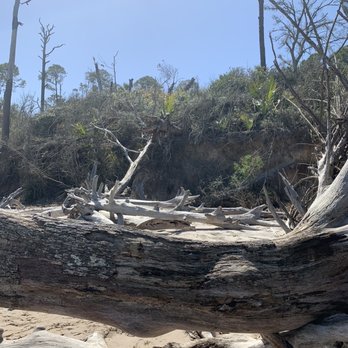 Big Talbot Island State Park - Parks Near Me - Jacksonville, Florida Big Talbot Island State Park - Parks Near Me - Jacksonville, Florida