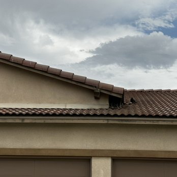 Premier Pest Services East - specializing in pigeon blocking. - Pest Control Near Me Premier Pest Services East - specializing in pigeon blocking. - Pest Control Near Me