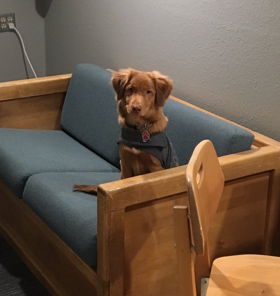 ELLENSBURG PET LODGE Updated September 2024 33 Photos 2111