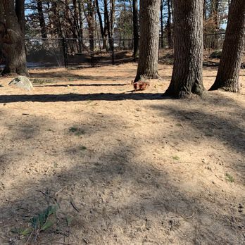 Town Park - Parks Near Me - Wilmington, Massachusetts Town Park - Parks Near Me - Wilmington, Massachusetts