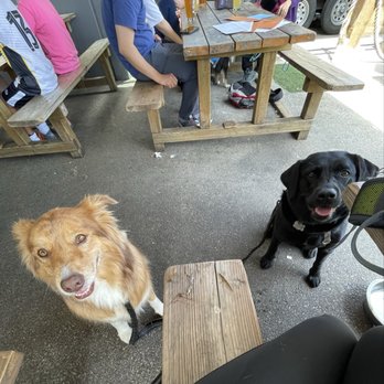 Black Kettle Brewing - Dog friendly - Breweries Near Me - North Vancouver, British Columbia Black Kettle Brewing - Dog friendly - Breweries Near Me - North Vancouver, British Columbia