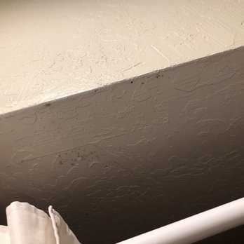 Surfer Beach Hotel - Mold in bathroom - San Diego, CA