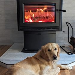 The Fireplace Showcase - My new Napoleon wood stove and my boy Goose.