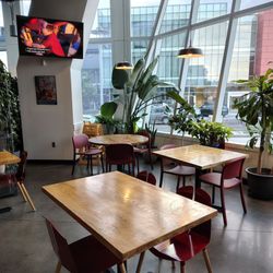 RUB - Rotisserie Urban Bistro - So many plants