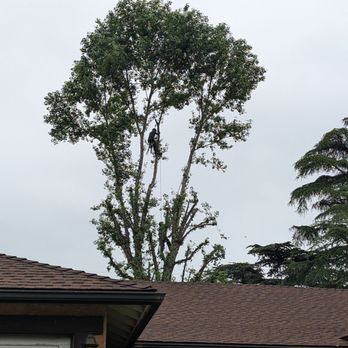Egan Tree Care - Landscaping Near Me Egan Tree Care - Landscaping Near Me