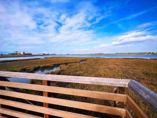 Bolsa Chica Ecological Reserve by null