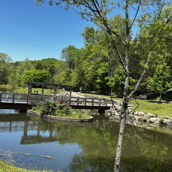 Bernheim Forest and Arboretum - So peaceful - Parks Near Me - Clermont, Kentucky