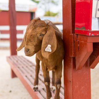 Johansen Farms - Zoos Near Me - Bolingbrook, Illinois