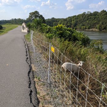 Meterocenter Levee Greenway - You're doing a swell job, goat - Parks Near Me - Nashville, Tennessee Meterocenter Levee Greenway - You're doing a swell job, goat - Parks Near Me - Nashville, Tennessee
