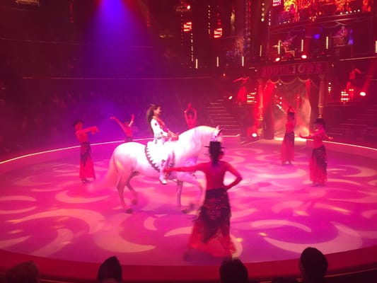 Cirque d'Hiver Bouglione by null