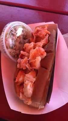 Ocean Roll by null