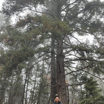 Osha Trail Trailhead - Hiking Near Me - Cloudcroft, New Mexico