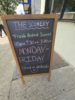 The Sconery by null