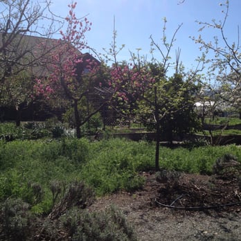 Frog's Leap Winery - Wineries Near Me - Rutherford, California
